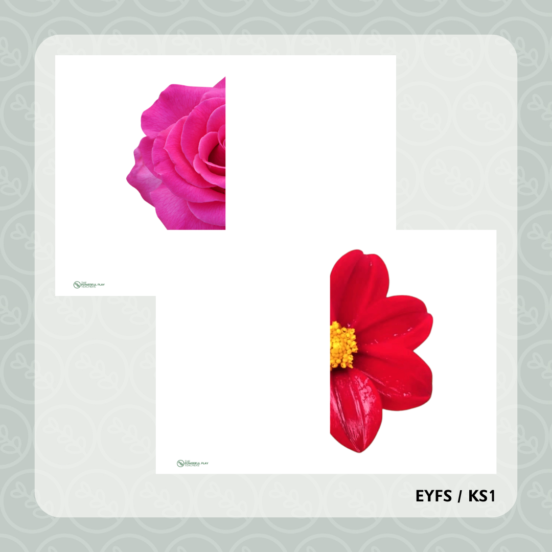 Flower Half Art