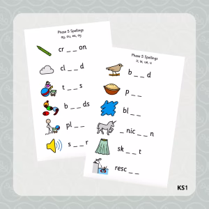 Widgit - Phase 5 Spellings