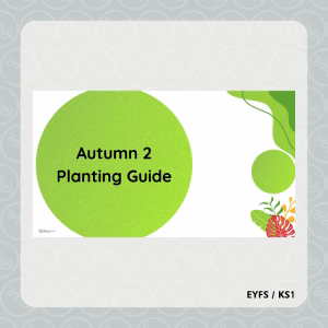 Autumn 2 Planting Guide