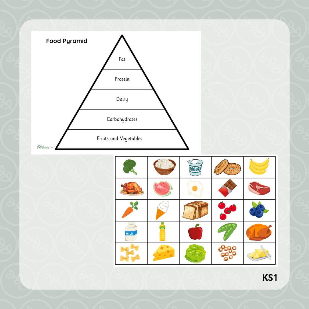 Food Pyramid