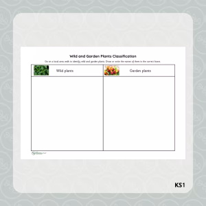 Wild and Garden Plant Classification