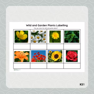 Wild and Garden Plant Labelling
